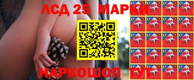 крисы Славгород