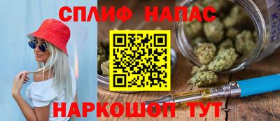 крисы Славгород