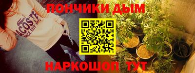 крисы Славгород