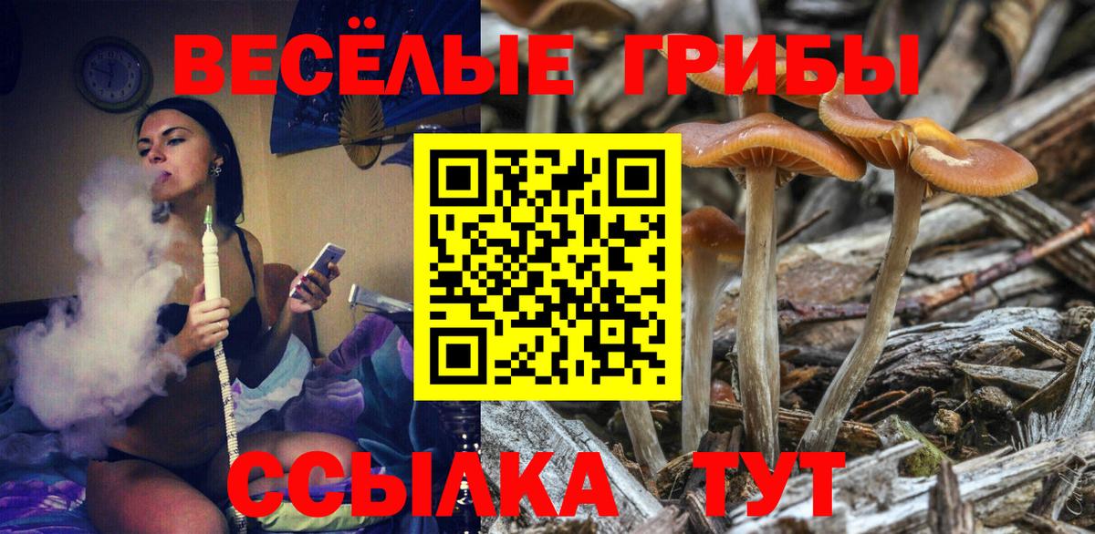 Обь  Галлюциногенные грибы MAGIC MUSHROOMS  Вход с VPN 