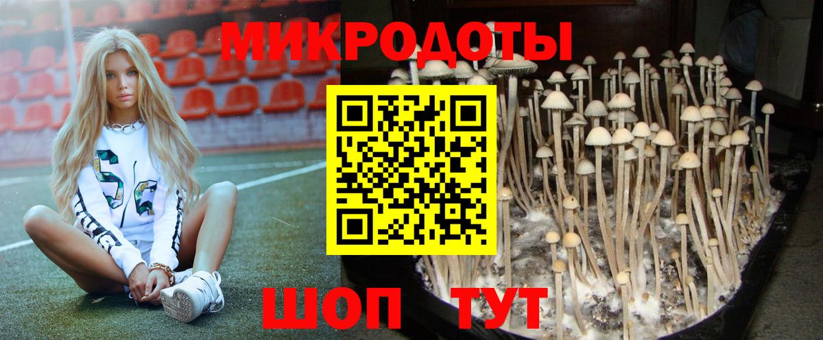 Галлюциногенные грибы MAGIC MUSHROOMS Обь